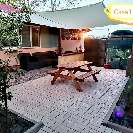 Casa Dasoveanu Sulina Exteriér fotografie